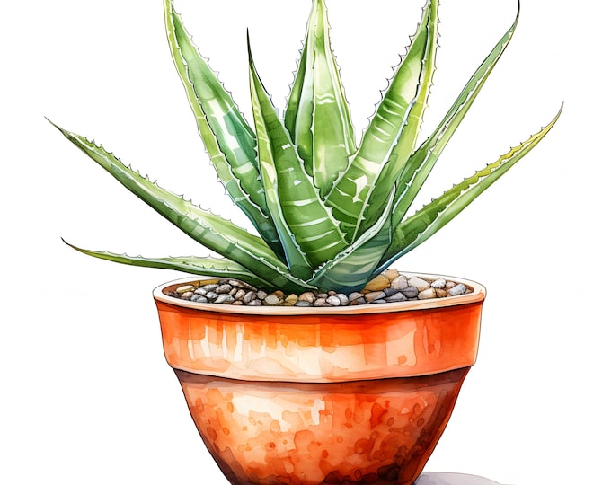 Potted Aloe Clipart, Aloe in Pot Images, 10 Watercolor Clip Art, Printable JPGs, Instant Download, Commercial Use, Paper craft
