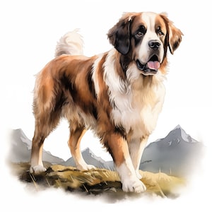 Clipart del cane San Bernardo, Immagini del cane San Bernardo, 10 clipart ad acquerello, JPG stampabili, Download istantaneo, Uso commerciale, Mestiere con la carta