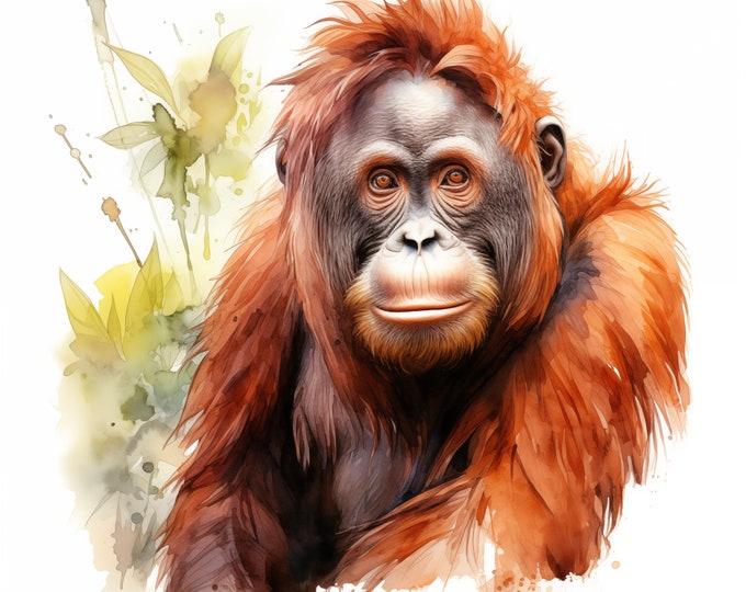 Orangutan Clipart, Monkey Images, 10 Watercolor Clip Art, Printable JPGs, Instant Download, Commercial Use, Paper craft
