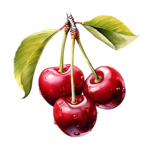Clipart cerise, Images de fruits cerise, 10 images clipart aquarelle, fichiers JPG imprimables, téléchargement immédiat, usage commercial, créations en papier