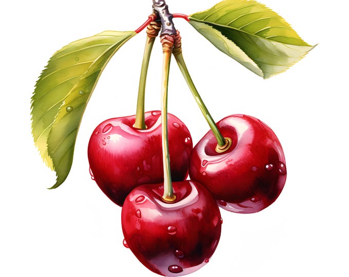 Cherry Clipart, Cherry Fruits Images, 10 Watercolor Clip Art, Printable JPGs, Instant Download, Commercial Use, Paper craft