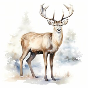 Königliche Reindeer Clipart, weiße Skandi Reindeer Bilder, 10 Aquarell Clip Art, druckbare JPGs, Sofort Download, kommerzielle Nutzung, Papiermodell