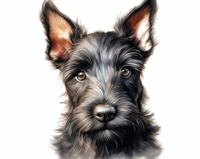 Scottish Terrier Clipart, Puppy Dog Images, 10 Watercolor Clip Art, Printable JPGs, Instant Download, Commercial Use, Paper craft