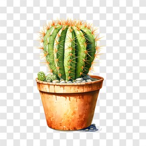 10 PNG Potted Cactus, Cactus Clipart, Watercolor Clip Art, Instant ...