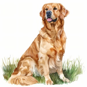 Clipart Golden Retriever, Immagini di cani nella foresta, 10 clipart ad acquerello, JPG stampabili, Download immediato, Uso commerciale, Artigianato di carta