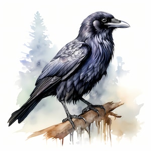 Raaf clipart, gemeenschappelijke raaf, zwarte kraai afbeeldingen, 10 aquarel illustraties, afdrukbare jpg's, Instant Download, commercieel gebruik, Papercraft
