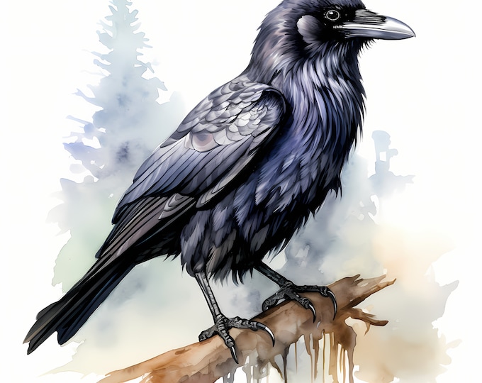 Raven Clipart, Common Raven, Black Crow Images, 10 Watercolor Clip Art, Printable JPGs, Instant Download, Commercial Use, Paper craft