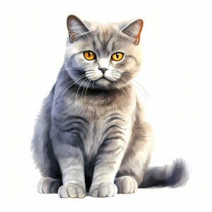 Watercolor British Shorthair Cat Clipart: 10 Printable JPG Images (Commercial Use)