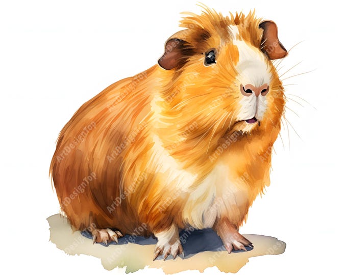 Guinea Pig Clipart, Cute Cavy Images, 10 Watercolor Clip Art, Printable JPGs, Instant Download, Commercial Use, Paper craft