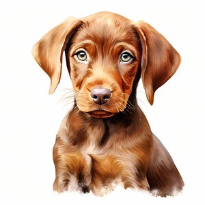 Drahthaar Vizsla Hund Clipart, Welpe Hund Bilder, 10 Aquarell Clip Art, druckbare JPGs, sofortiger Download, kommerzielle Nutzung, Papiermodell