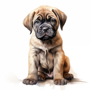 Watercolor English Mastiff Clipart: Puppy Dog Images (Commercial Use, JPGs, Instant Download