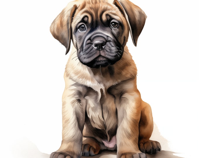 English Mastiff Clipart, Puppy Dog, Mastiff Images, 10 Watercolor Clip Art, Printable JPGs, Instant Download, Commercial Use, Paper craft