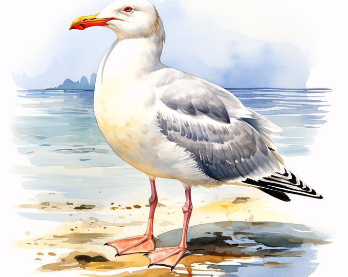 Seagull Clipart, Coastal Bird Images, 10 Watercolor Clip Art, Printable JPGs, Instant Download, Commercial Use, Paper craft