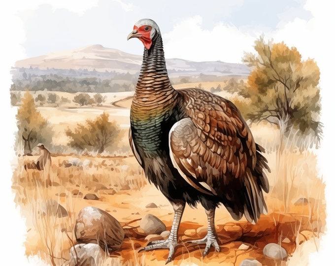 Wild Turkey Clipart, Thanksgiving Images, 10 Watercolor Clip Art, Printable JPGs, Instant Download, Commercial Use, Paper craft