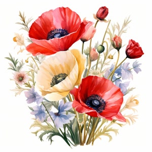 Clipart di fiori di prato, immagini di bouquet di papaveri, 10 clipart ad acquerello, JPG stampabili, download istantaneo, uso commerciale, artigianato con la carta