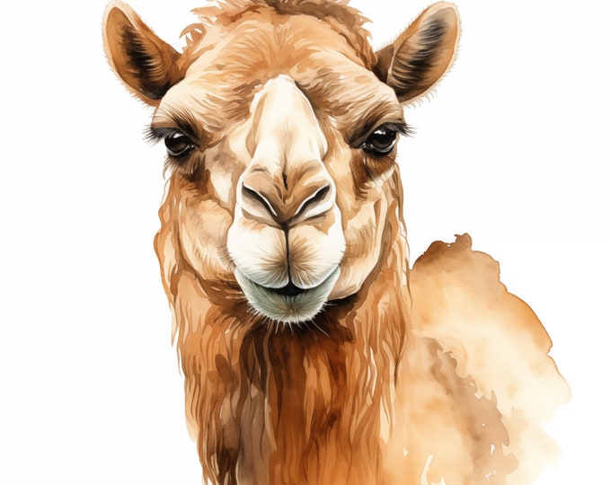 Camel Clipart, Camel In Desert Images, 10 Watercolor Clip Art, Printable JPGs, Instant Download, Commercial Use, Paper craft
