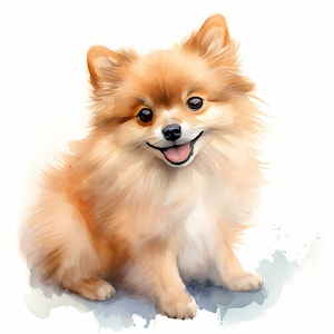 ポメラニアン犬のクリップアート、子犬の画像、水彩画のクリップアート 10 点、印刷可能な JPG、即時ダウンロード、商用利用、ペーパークラフト