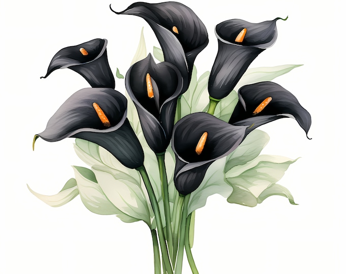 Calla Lily Bouquet Clipart, Black Flowers Images, 10 Watercolor Clip Art, Printable JPGs, Instant Download, Commercial Use, Paper craft