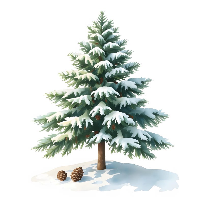 Pine Tree Clipart, Winter Tree Images, 10 Watercolor Clip Art ...