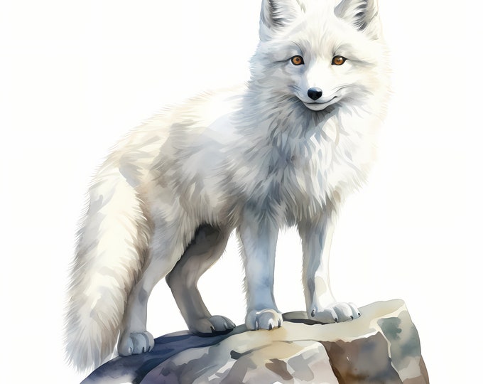 Arctic Fox Clipart, Winter Christmas Fox Images, 10 Watercolor Clip Art, Printable JPGs, Instant Download, Commercial Use, Paper craft