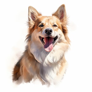 Clipart di cane da pastore islandese, immagini di cane islandese, 10 clipart ad acquerello, JPG stampabili, download istantaneo, uso commerciale, creazione di carta