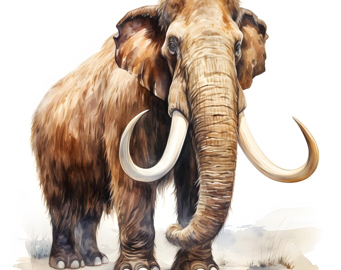 Mammoth Clipart, Stone Age Animals Images, 10 Watercolor Clip Art, Printable JPGs, Instant Download, Commercial Use, Paper craft