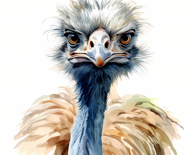 Ostrich Clipart, Grumpy Ostrich Images, 10 Watercolor Clip Art, Printable JPGs, Instant Download, Commercial Use, Paper craft