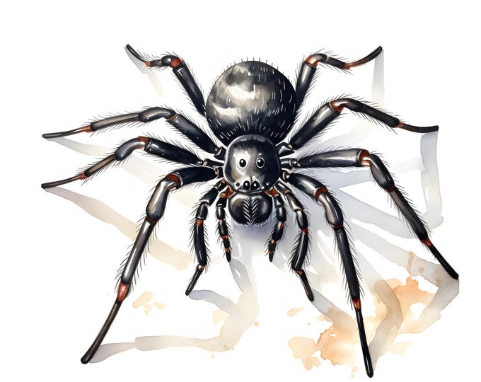 Black Spider Clipart, Poisonous Spider Images, 10 Watercolor Clip Art, Printable JPGs, Instant Download, Commercial Use, Paper craft