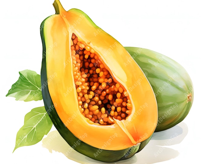 Papaya Clipart, Tropical Fruit Images, 10 Watercolor Clip Art, Printable JPGs, Instant Download, Commercial Use, Paper craft