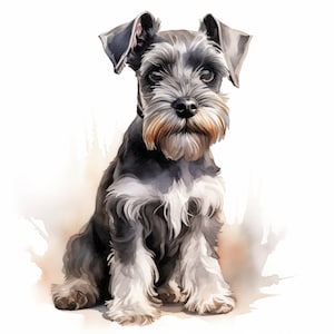 Miniature Schnauzer Clipart, Schnauzer Dog Images, 10 Watercolor Clip Art, Printable JPGs, Instant Download, Commercial Use, Paper craft