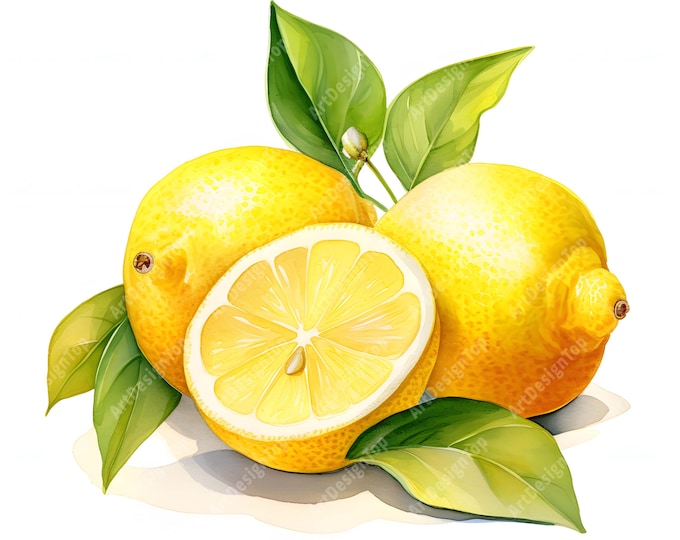 Lemons Clipart, Lemon Branch Images, 10 Watercolor Clip Art, Printable JPGs, Instant Download, Commercial Use, Paper craft
