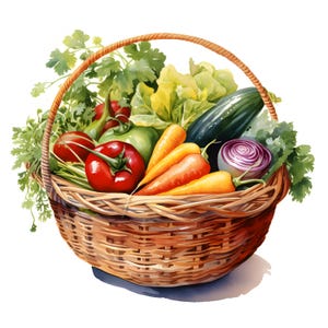 Clipart cesto di verdure, immagini di raccolta autunnale, 10 clipart ad acquerello, JPG stampabili, download immediato, uso commerciale, artigianato di carta