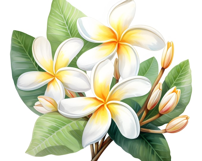 Plumeria Clipart, Tropical Flowers Images, 10 Watercolor Clip Art, Printable JPGs, Instant Download, Commercial Use, Paper craft