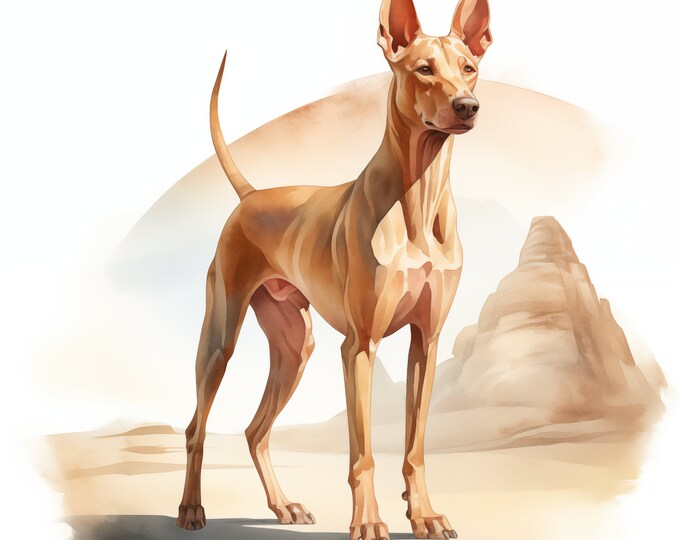Pharaoh Hound Clipart, Pharaoh Hound Dog Images, 10 Watercolor Clip Art, Printable JPGs, Instant Download, Commercial Use, Paper craft