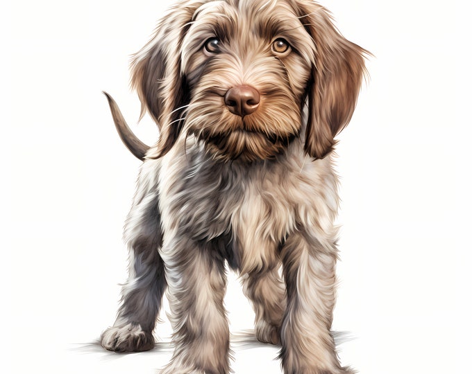 Italian Spinone Clipart, Puppy Dog Images, 10 Watercolor Clip Art, Printable JPGs, Instant Download, Commercial Use, Paper craft