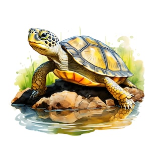 Imágenes prediseñadas de tortugas bebé, imágenes de tortugas marinas, 10 imágenes prediseñadas de acuarela, JPG imprimibles, descarga instantánea, uso comercial, artesanía de papel