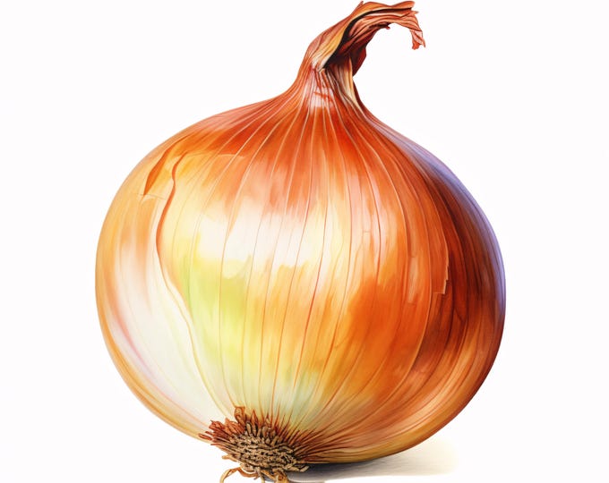 Watercolor Onion Clipart: 10 Vegetable Food JPGs (Commercial Use, Instant Download)