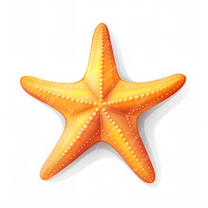 Starfish Clipart, Star Fish Images, 10 Watercolor Clip Art, Printable JPGs, Instant Download, Commercial Use, Paper craft