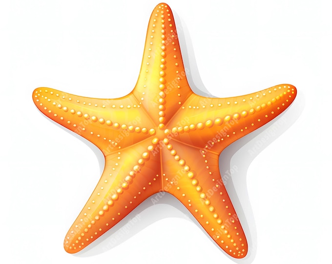 Starfish Clipart, Star Fish Images, 10 Watercolor Clip Art, Printable JPGs, Instant Download, Commercial Use, Paper craft
