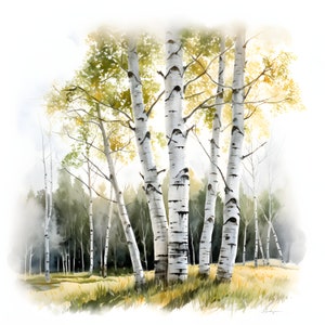 Clipart berkenbomen, afbeeldingen berkenbos, 10 aquarel-illustraties, afdrukbare JPG's, Instant Download, Commercieel gebruik, Papercraft