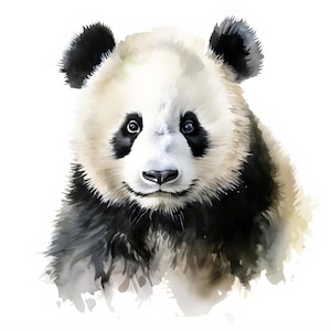 May include: A watercolor painting of a panda bear with black fur around its eyes and ears. The panda is looking directly at the viewer with a gentle expression. The background is a soft white with watercolor splatters.
