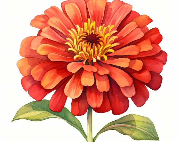 Zinnia Clipart, Zinnia Flowers Images, 10 Watercolor Clip Art, Printable JPGs, Instant Download, Commercial Use, Paper craft