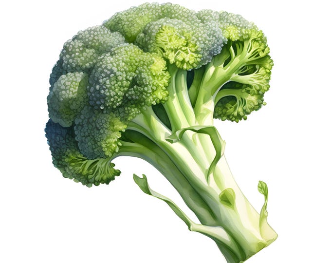Broccoli Clipart, Broccoli Images, 10 Watercolor Clip Art, Printable JPGs, Instant Download, Commercial Use, Paper craft