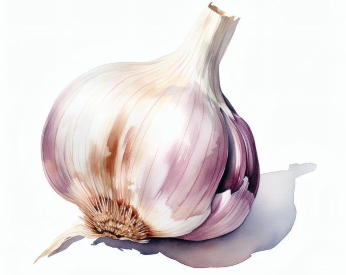 Garlic Clipart, Kitchen Vegetable Images, 10 Watercolor Clip Art, Printable JPGs, Instant Download, Commercial Use, Paper craft