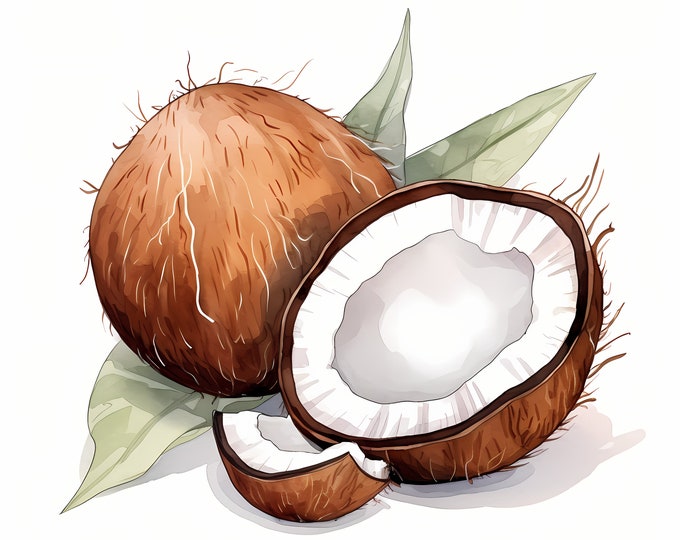Coconut Clipart, Tropical Fruits Images, 10 Watercolor Clip Art, Printable JPGs, Instant Download, Commercial Use, Paper craft