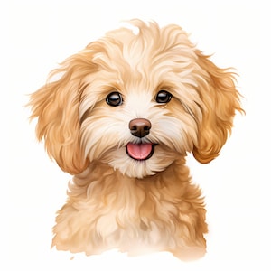Maltipoo Clipart, Puppy Dog Images, 10 Watercolor Clip Art, Printable JPGs, Instant Download, Commercial Use, Paper craft