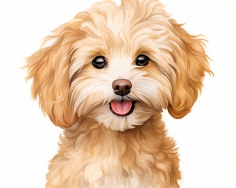 Maltipoo Watercolor Clipart: Puppy Dog JPG Images (Commercial Use)