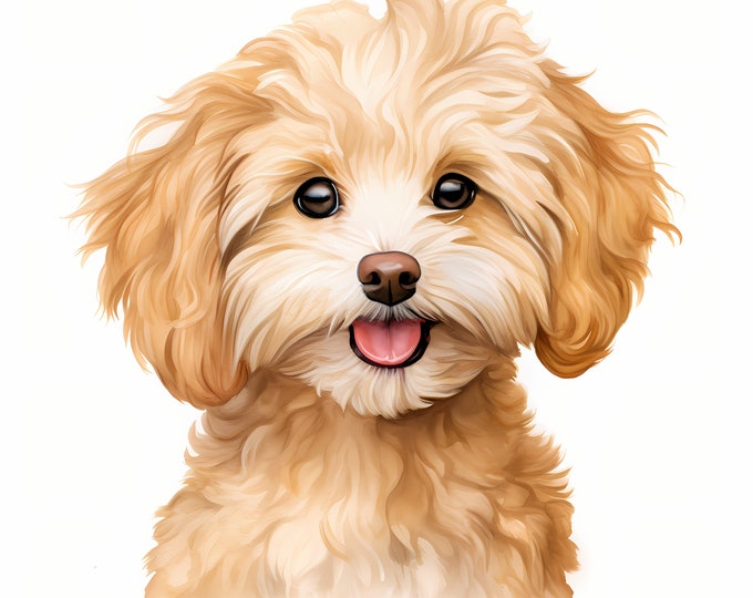 Maltipoo Clipart, Puppy Dog Images, 10 Watercolor Clip Art, Printable JPGs, Instant Download, Commercial Use, Paper craft