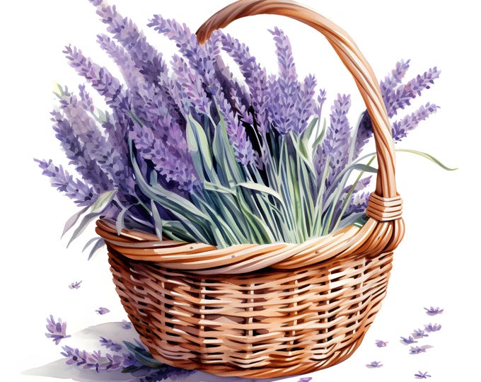 Lavender Basket Clipart, Basket with Lavenders Images, 10 Watercolor Clip Art, Printable JPGs, Instant Download, Commercial Use, Paper craft
