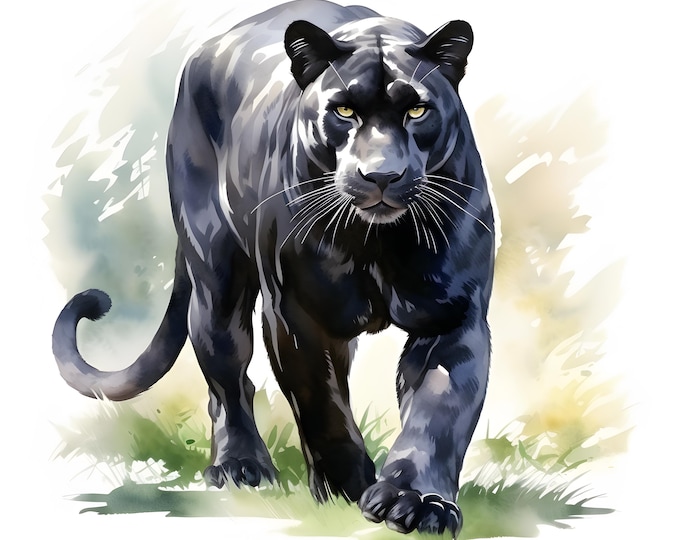 Panther Clipart, Black Wild Cat Images, 10 Watercolor Clip Art, Printable JPGs, Instant Download, Commercial Use, Paper craft